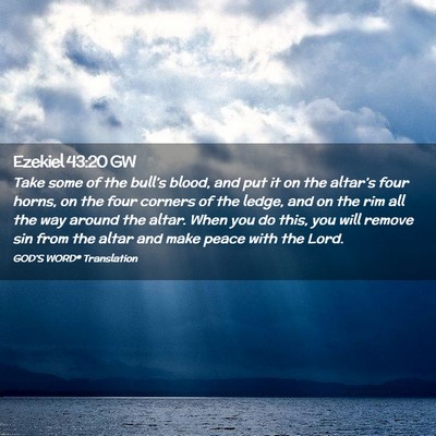 Picture 02 - Ezekiel 43:20 GW - Take some of the bull’s blood, and put it on - Bible Verse Picture
