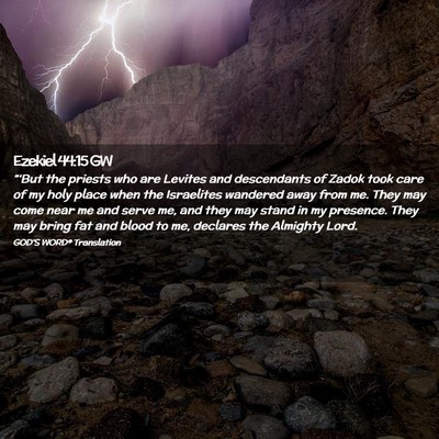 Picture 02 - Ezekiel 44:15 GW - “‘But the priests who are Levites and - Bible Verse Picture