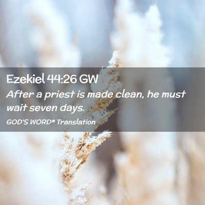 Picture 02 - Ezekiel 44:26 GW - After a priest is made clean, he must wait seven - Bible Verse Picture