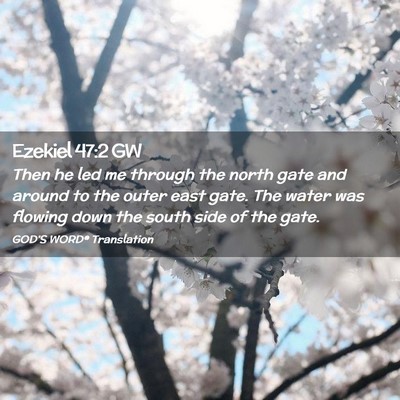 Picture 02 - Ezekiel 47:2 GW - Then he led me through the north gate and around - Bible Verse Picture
