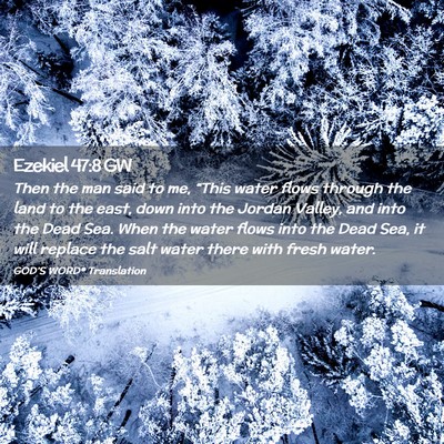 Picture 02 - Ezekiel 47:8 GW - Then the man said to me, “This water flows - Bible Verse Picture