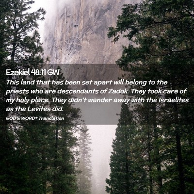 Picture 02 - Ezekiel 48:11 GW - This land that has been set apart will belong to - Bible Verse Picture