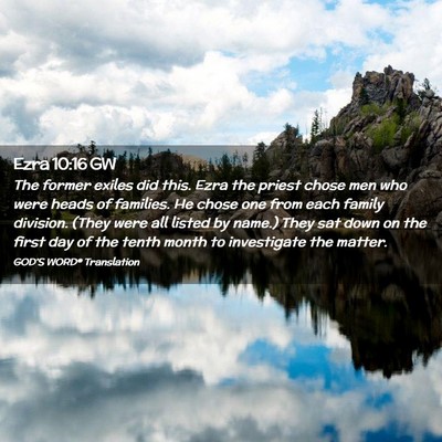 Picture 02 - Ezra 10:16 GW - The former exiles did this. Ezra the priest chose - Bible Verse Picture