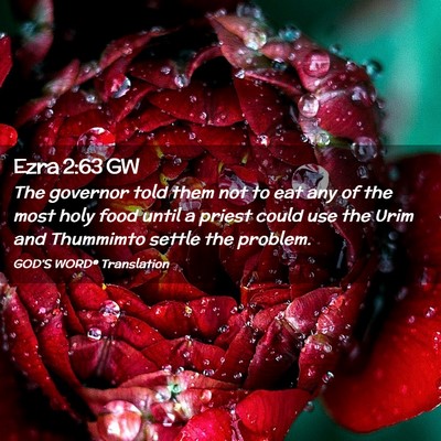 Picture 02 - Ezra 2:63 GW - The governor told them not to eat any of the most - Bible Verse Picture