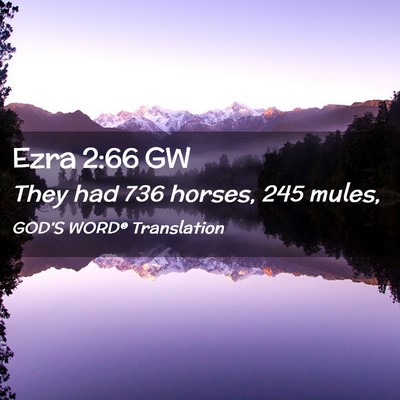 Picture 02 - Ezra 2:66 GW - They had 736 horses, 245 - Bible Verse Picture