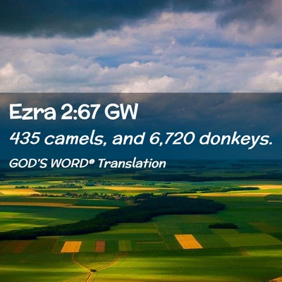 Picture 02 - Ezra 2:67 GW - 435 camels, and 6,720 - Bible Verse Picture
