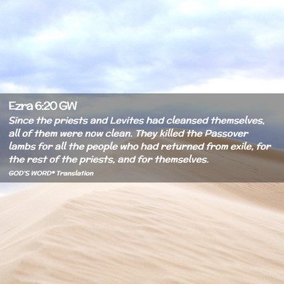Picture 02 - Ezra 6:20 GW - Since the priests and Levites had cleansed - Bible Verse Picture