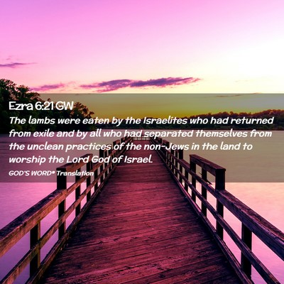 Picture 02 - Ezra 6:21 GW - The lambs were eaten by the Israelites who had - Bible Verse Picture