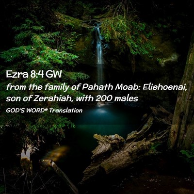 Picture 02 - Ezra 8:4 GW - from the family of Pahath Moab: Eliehoenai, son - Bible Verse Picture