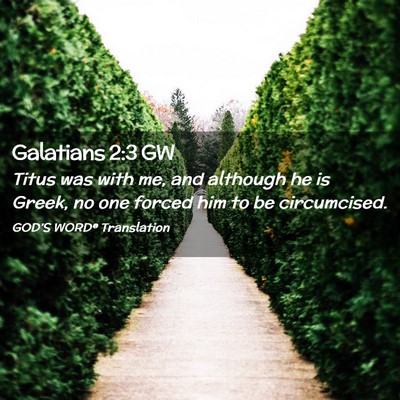 Picture 02 - Galatians 2:3 GW - Titus was with me, and although he is Greek, no - Bible Verse Picture