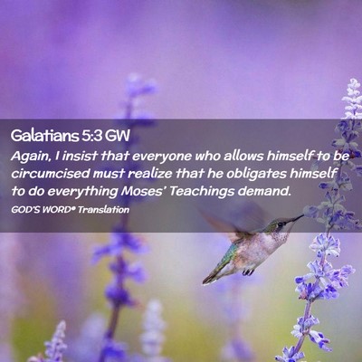 Picture 02 - Galatians 5:3 GW - Again, I insist that everyone who allows himself - Bible Verse Picture
