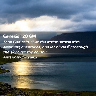 Picture 02 - Genesis 1:20 GW - Then God said, “Let the water swarm with - Bible Verse Picture