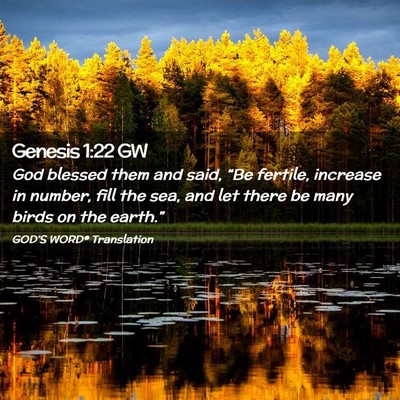 Picture 02 - Genesis 1:22 GW - God blessed them and said, “Be fertile, - Bible Verse Picture