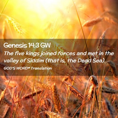 Picture 02 - Genesis 14:3 GW - The five kings joined forces and met in the - Bible Verse Picture