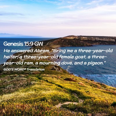 Picture 02 - Genesis 15:9 GW - He answered Abram, “Bring me a three-year-old - Bible Verse Picture