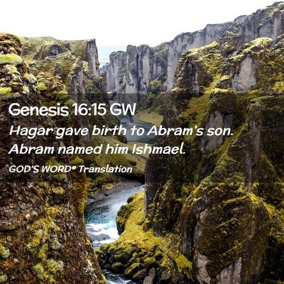 Picture 02 - Genesis 16:15 GW - Hagar gave birth to Abram’s son. Abram named - Bible Verse Picture