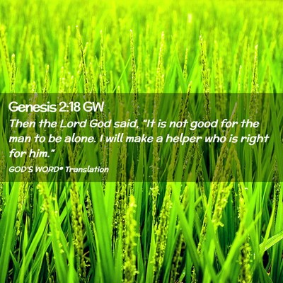 Picture 02 - Genesis 2:18 GW - Then the Lord God said, “It is not good for the - Bible Verse Picture