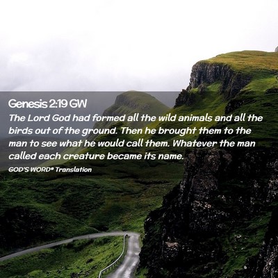 Picture 02 - Genesis 2:19 GW - The Lord God had formed all the wild animals and - Bible Verse Picture