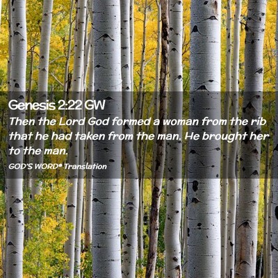 Picture 02 - Genesis 2:22 GW - Then the Lord God formed a woman from the rib - Bible Verse Picture