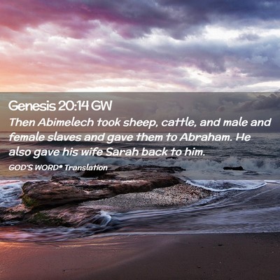 Picture 02 - Genesis 20:14 GW - Then Abimelech took sheep, cattle, and male and - Bible Verse Picture