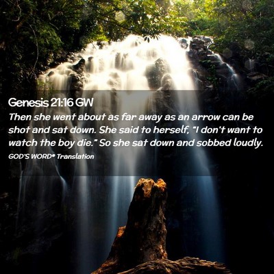 Picture 02 - Genesis 21:16 GW - Then she went about as far away as an arrow can - Bible Verse Picture