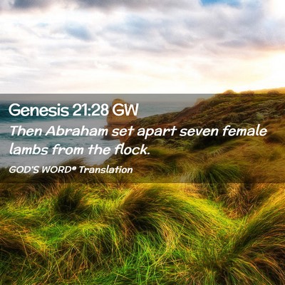 Picture 02 - Genesis 21:28 GW - Then Abraham set apart seven female lambs from - Bible Verse Picture