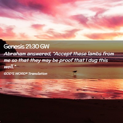 Picture 02 - Genesis 21:30 GW - Abraham answered, “Accept these lambs from me - Bible Verse Picture