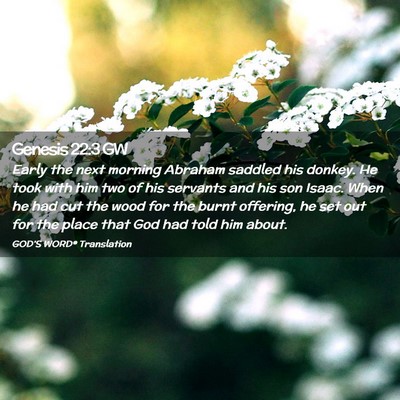 Picture 02 - Genesis 22:3 GW - Early the next morning Abraham saddled his - Bible Verse Picture