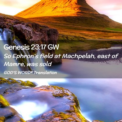 Picture 02 - Genesis 23:17 GW - So Ephron’s field at Machpelah, east of Mamre, - Bible Verse Picture