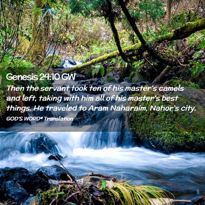 Picture 02 - Genesis 24:10 GW - Then the servant took ten of his master’s - Bible Verse Picture