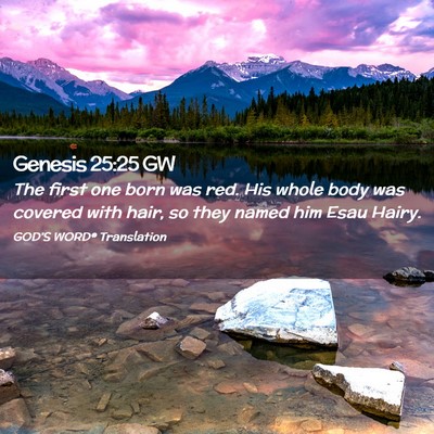 Picture 02 - Genesis 25:25 GW - The first one born was red. His whole body was - Bible Verse Picture