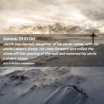 Picture 02 - Genesis 29:10 GW - Jacob saw Rachel, daughter of his uncle Laban, - Bible Verse Picture