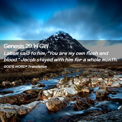 Picture 02 - Genesis 29:14 GW - Laban said to him, “You are my own flesh and - Bible Verse Picture