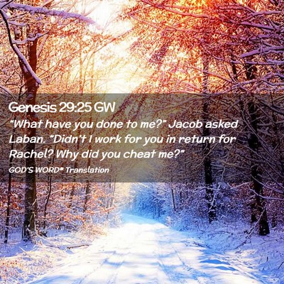Picture 02 - Genesis 29:25 GW - “What have you done to me?” Jacob asked - Bible Verse Picture