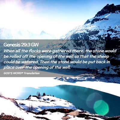 Picture 02 - Genesis 29:3 GW - When all the flocks were gathered there, the - Bible Verse Picture