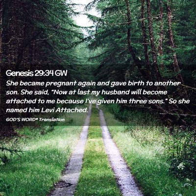 Picture 02 - Genesis 29:34 GW - She became pregnant again and gave birth to - Bible Verse Picture