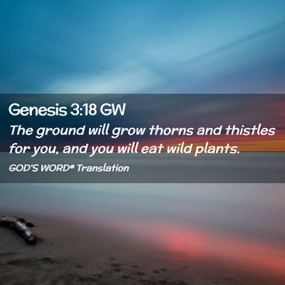 Picture 02 - Genesis 3:18 GW - The ground will grow thorns and thistles for you, - Bible Verse Picture