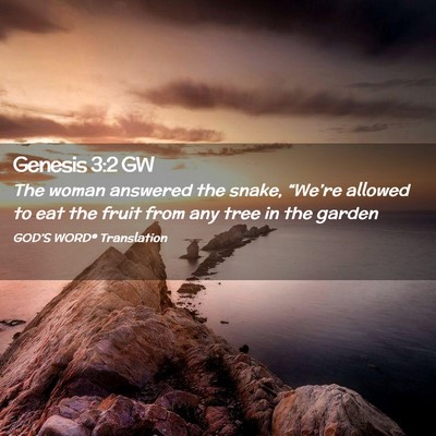 Picture 02 - Genesis 3:2 GW - The woman answered the snake, “We’re allowed - Bible Verse Picture