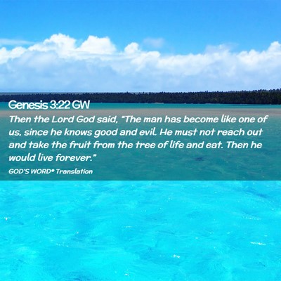 Picture 02 - Genesis 3:22 GW - Then the Lord God said, “The man has become - Bible Verse Picture