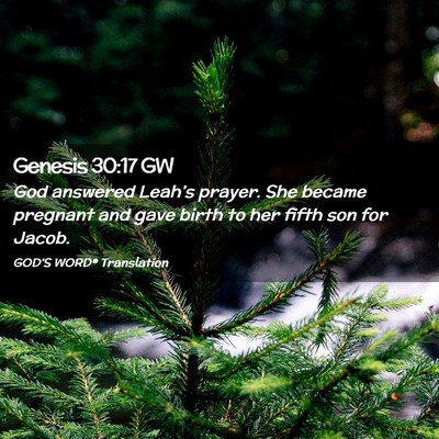 Picture 02 - Genesis 30:17 GW - God answered Leah’s prayer. She became pregnant - Bible Verse Picture