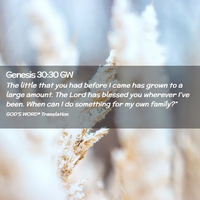 Picture 02 - Genesis 30:30 GW - The little that you had before I came has grown - Bible Verse Picture