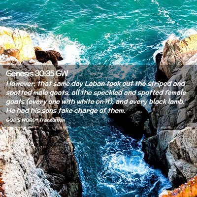Picture 02 - Genesis 30:35 GW - However, that same day Laban took out the striped - Bible Verse Picture