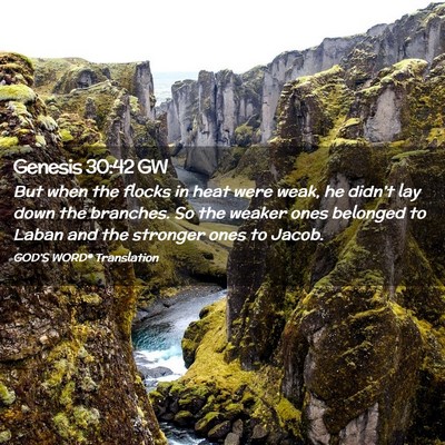 Picture 02 - Genesis 30:42 GW - But when the flocks in heat were weak, he - Bible Verse Picture