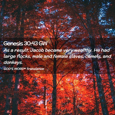 Picture 02 - Genesis 30:43 GW - As a result, Jacob became very wealthy. He had - Bible Verse Picture
