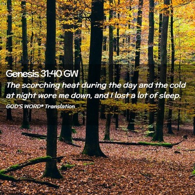 Picture 02 - Genesis 31:40 GW - The scorching heat during the day and the cold at - Bible Verse Picture