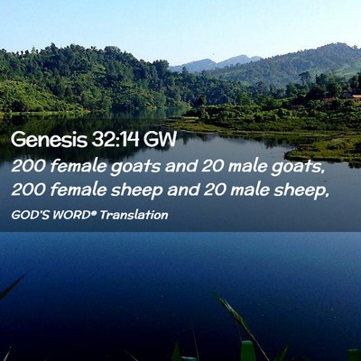 Picture 02 - Genesis 32:14 GW - 200 female goats and 20 male goats, 200 female - Bible Verse Picture