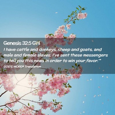 Picture 02 - Genesis 32:5 GW - I have cattle and donkeys, sheep and goats, and - Bible Verse Picture