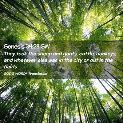 Picture 02 - Genesis 34:28 GW - They took the sheep and goats, cattle, donkeys, - Bible Verse Picture