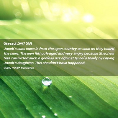 Picture 02 - Genesis 34:7 GW - Jacob’s sons came in from the open country as - Bible Verse Picture