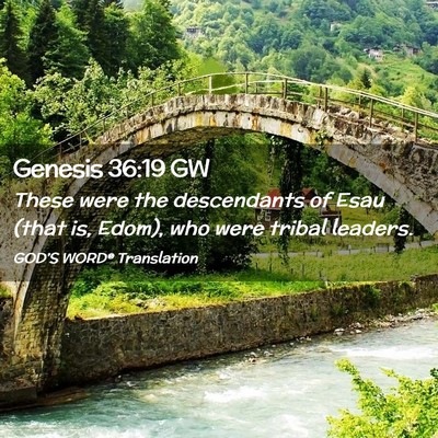 Picture 02 - Genesis 36:19 GW - These were the descendants of Esau (that is, - Bible Verse Picture